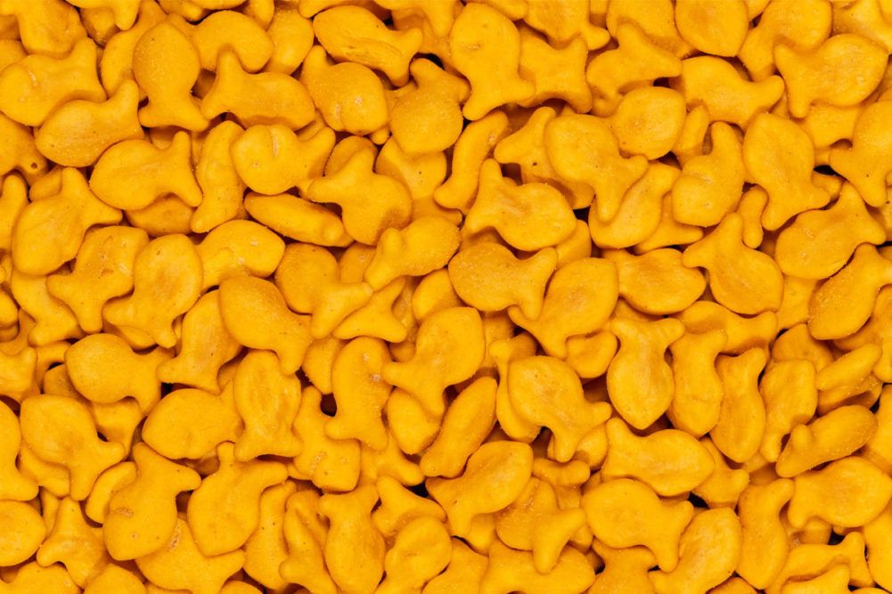 To counteract rising inflation, the Federal Reserve introduces the Goldfish standard [#4]